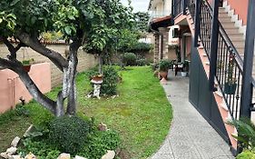 Un sogno nel verde2